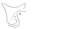 3S-Shop